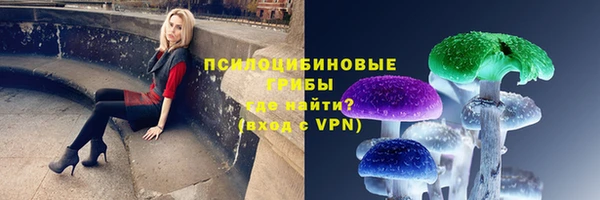 МДПВ Гусев