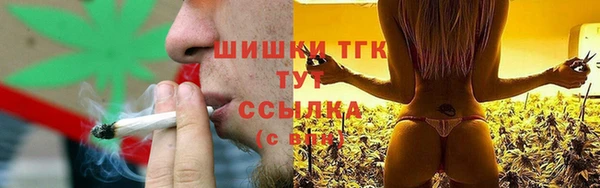 МДПВ Гусев