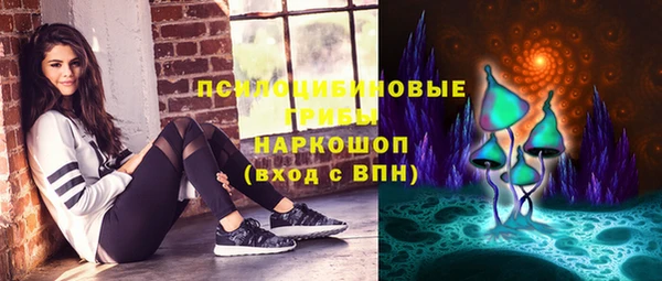 МДПВ Гусев