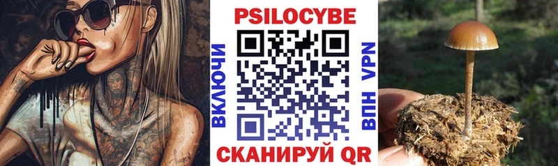 Галлюциногенные грибы Psilocybe Северодвинск